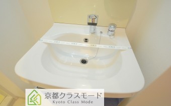 シャンプードレッサー