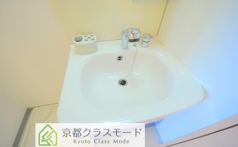 シャンプードレッサー