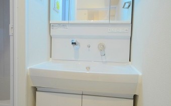 シャンプードレッサー