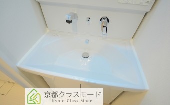 シャンプードレッサー