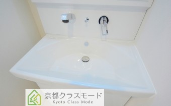 シャンプードレッサー