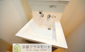 シャンプードレッサー
