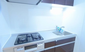3口ガスシステムキッチン