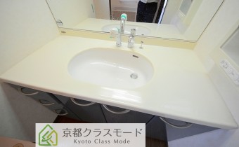 シャンプードレッサー