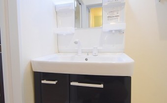 シャンプードレッサー