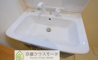 シャンプードレッサー