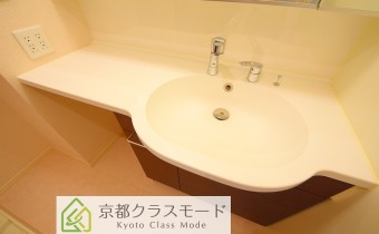 シャンプードレッサー