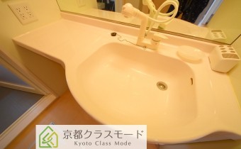 シャンプードレッサー