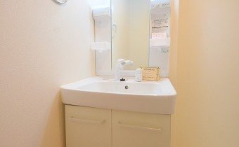 シャンプードレッサー