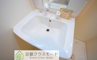 シャンプードレッサー