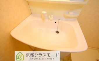 シャンプードレッサー