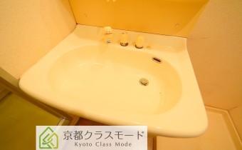 シャンプードレッサー