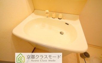 シャンプードレッサー