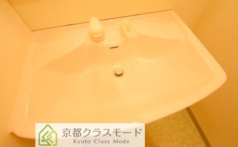 シャンプードレッサー