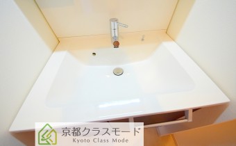 シャンプードレッサー
