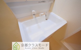 シャンプードレッサー
