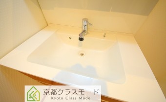 シャンプードレッサー