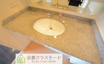 シャンプードレッサー