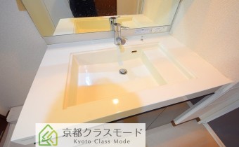 シャンプードレッサー