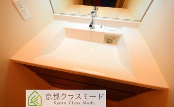 シャンプードレッサー