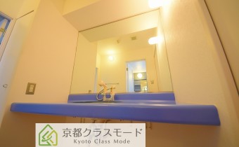 シャンプードレッサー