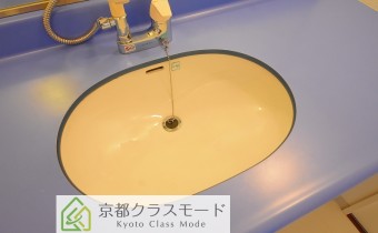 シャンプードレッサー