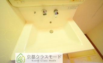 シャンプードレッサー