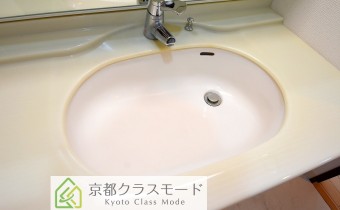 シャンプードレッサー