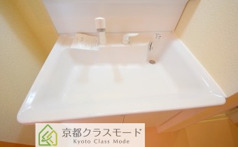 シャンプードレッサー