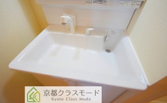 シャンプードレッサー