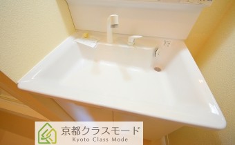 シャンプードレッサー