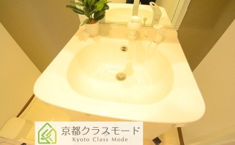サｙンプードレッサー