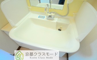 シャンプードレッサー