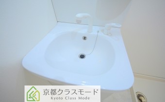 シャンプードレッサー