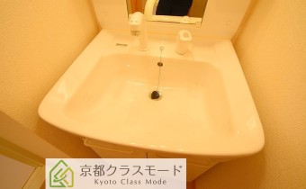 シャンプードレッサー