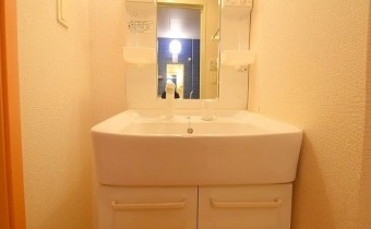シャンプードレッサー