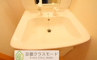 シャンプードレッサー