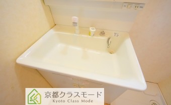 シャンプードレッサー