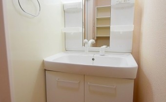 シャンプードレッサー