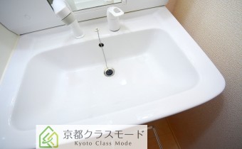 シャンプードレッサー
