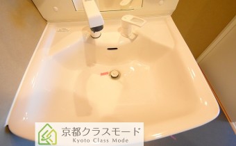 シャンプードレッサー