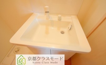 シャンプードレッサー