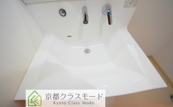 シャンプードレッサー
