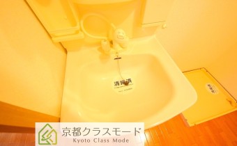 シャンプードレッサー