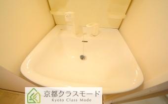 シャンプードレッサー