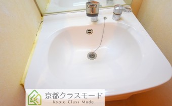 シャンプードレッサー