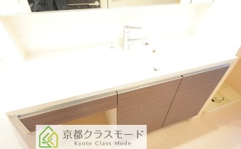 シャンプードレッサー