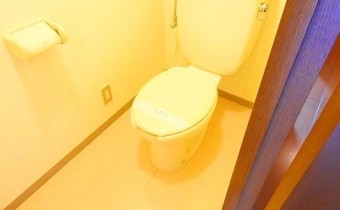 トイレ※同マンション別階の写真です