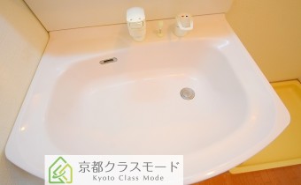 シャンプードレッサー※同マンション別階の写真です