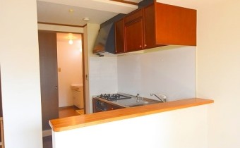 カウンター※同マンション別階の写真です